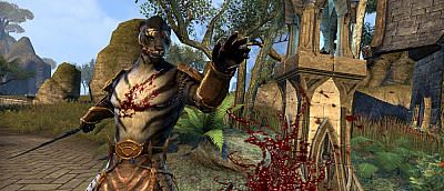  «Готовьте телефоны» — мобильная The Elder Scrolls: Blades теперь доступна для всех желающих 